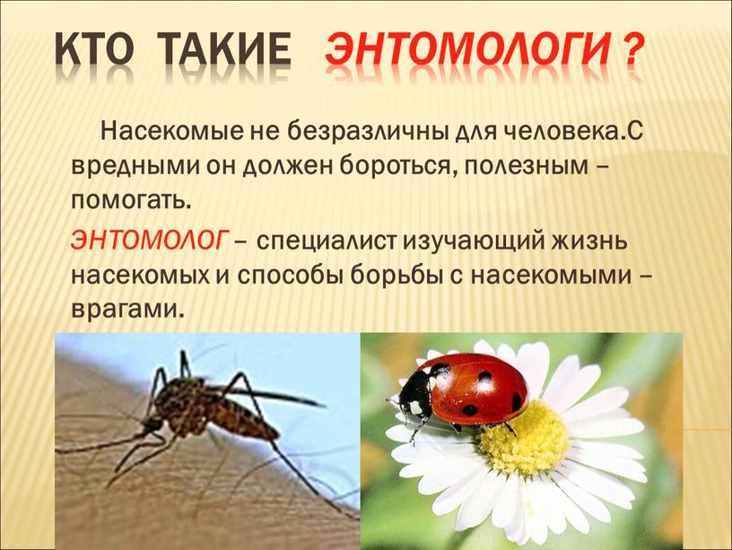 Кто такие ЭНТОМОЛОГИ ?