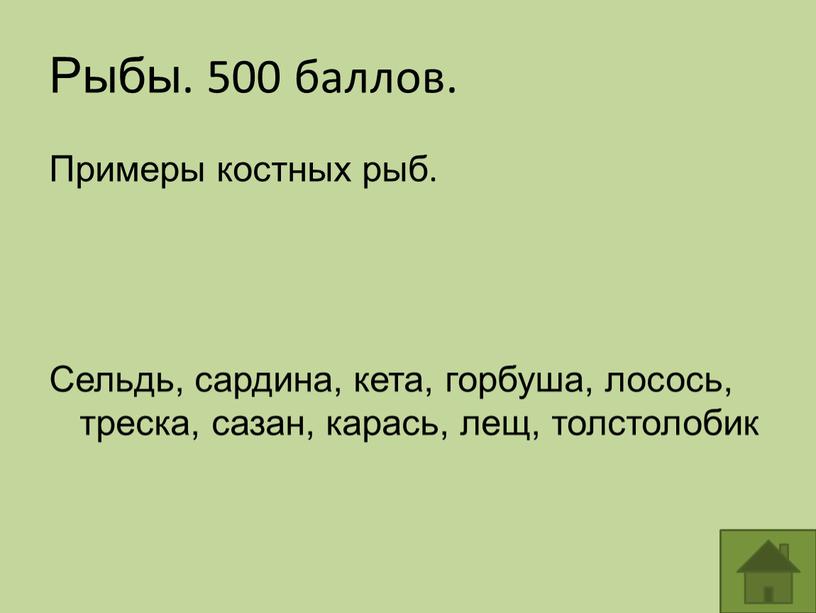 Рыбы. 500 баллов. Примеры костных рыб