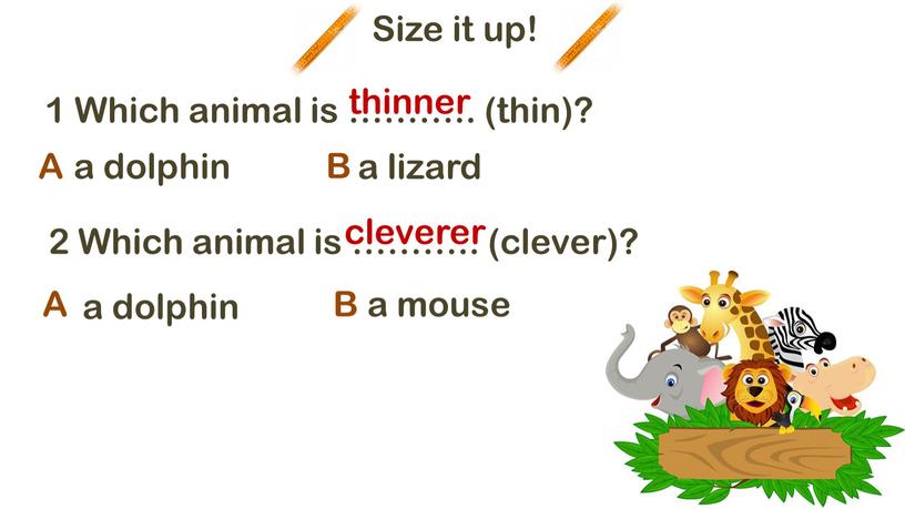 Size it up! 1 Which animal is ………