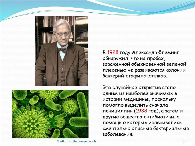 В 1928 году Александр Флеминг обнаружил, что на пробах, зараженной обыкновенной зеленой плесенью не развиваются колонии бактерий-стафилоколлков