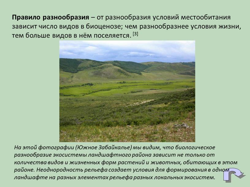 Правило разнообразия – от разнообразия условий местообитания зависит число видов в биоценозе; чем разнообразнее условия жизни, тем больше видов в нём поселяется