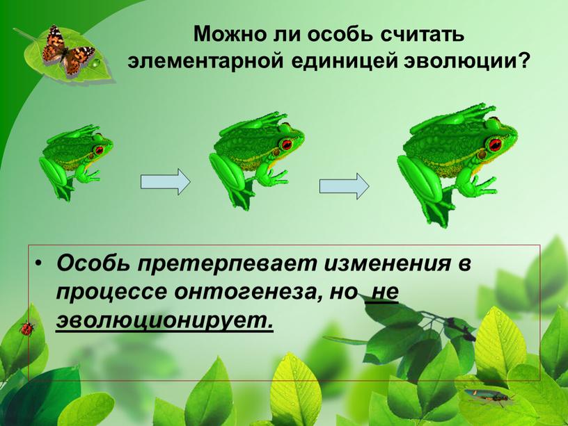 Можно ли особь считать элементарной единицей эволюции?