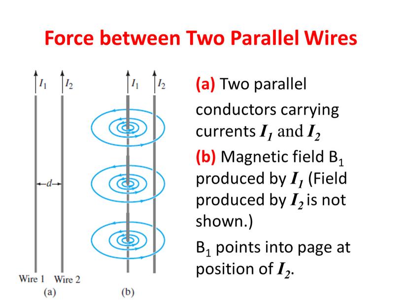 Force between Two Parallel Wires (a)