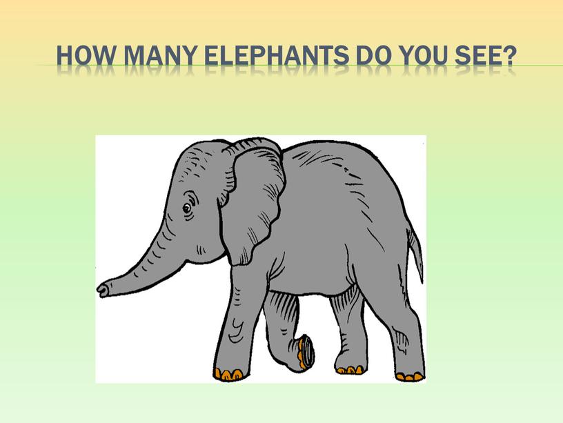 How many elephants do you see?