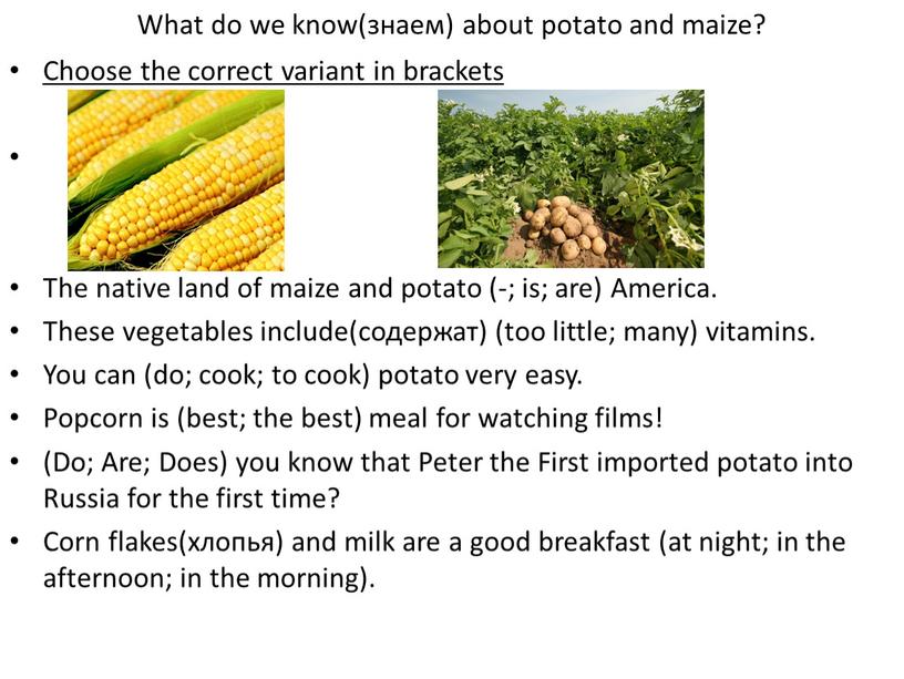 What do we know(знаем) about potato and maize?