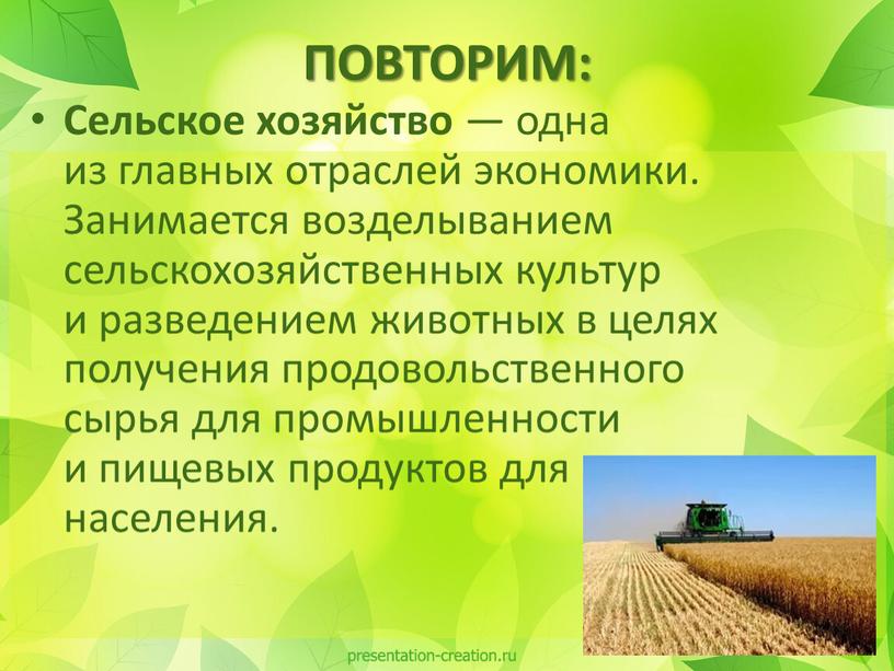 Сельское хозяйство — одна из главных отраслей экономики
