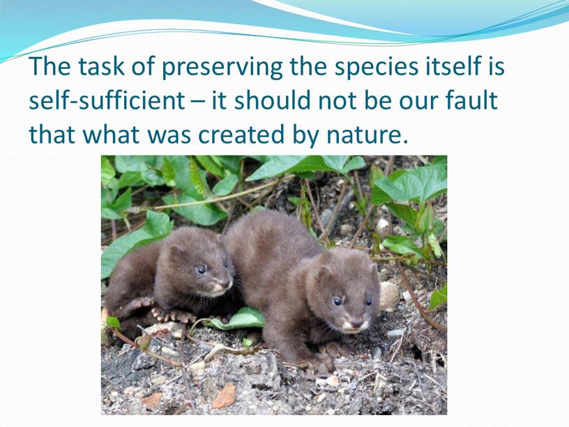 The task of preserving the species itself is self-sufficient – it should not be our fault that what was created by nature