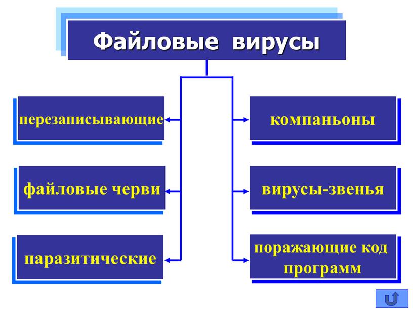 Компьютерные вирусы и антивирусные программы.ppt