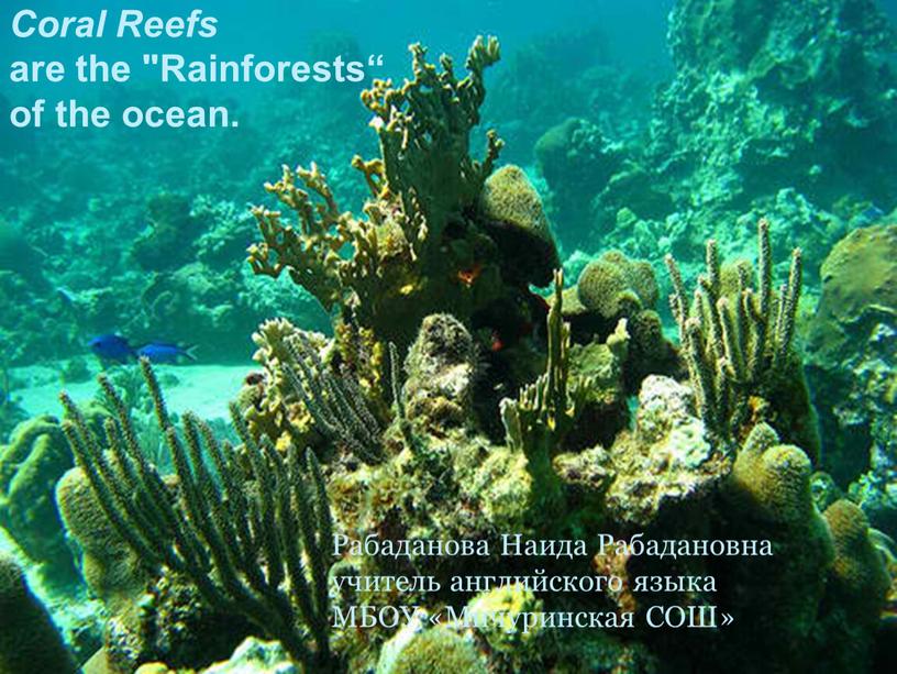 Coral Reefs are the "Rainforests“ of the ocean