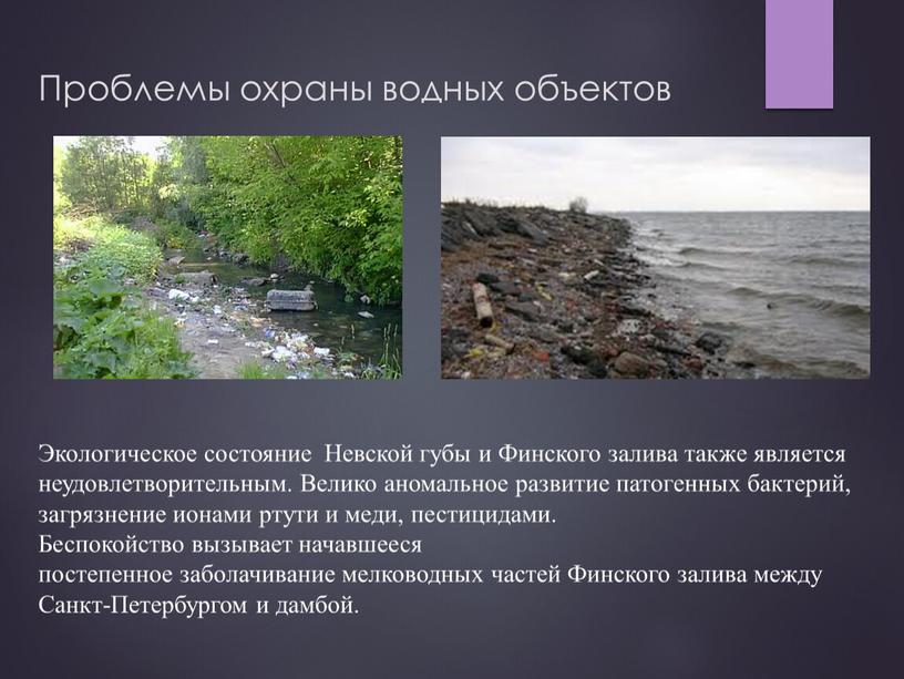 Проблемы охраны водных объектов