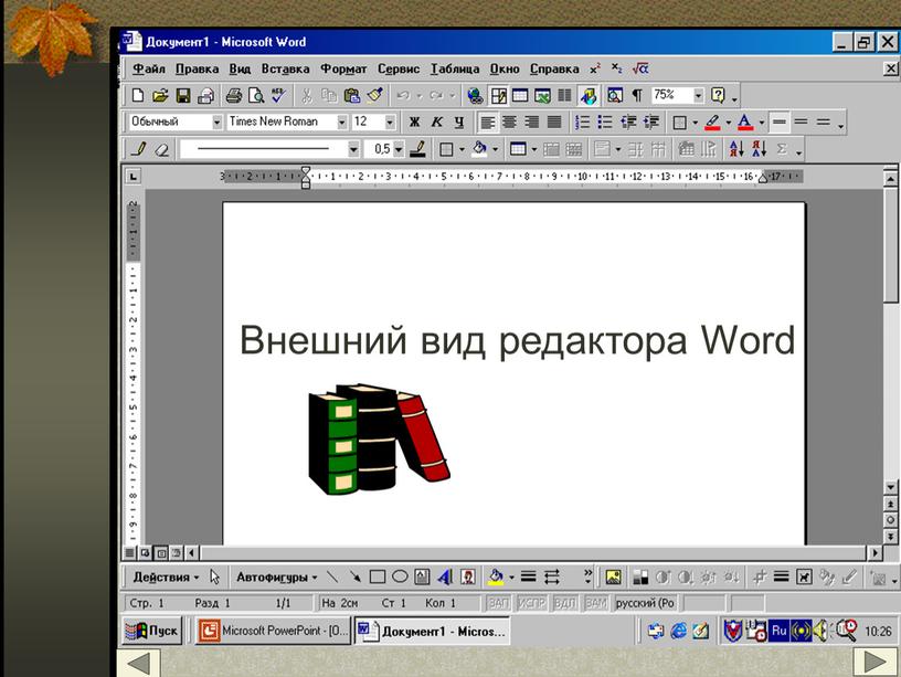 Внешний вид редактора Word