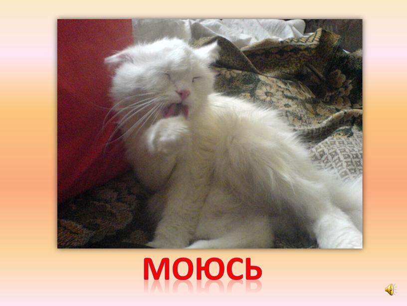 моюсь