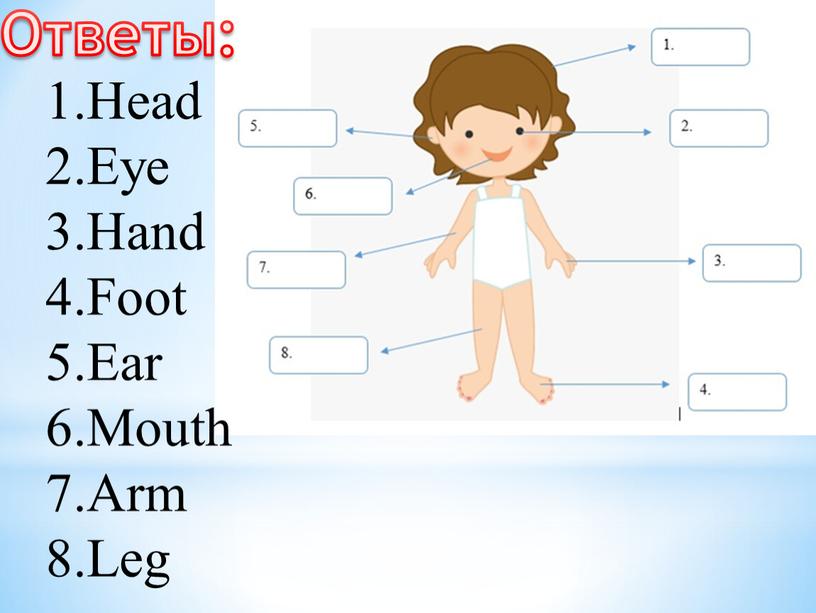 Head Eye Hand Foot Ear Mouth Arm