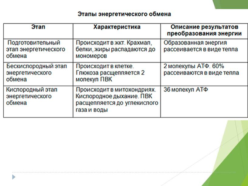 Разбор демо-версии ЕГЭ по биологии