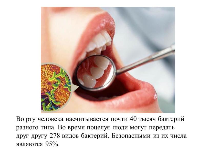 Во рту человека насчитывается почти 40 тысяч бактерий разного типа