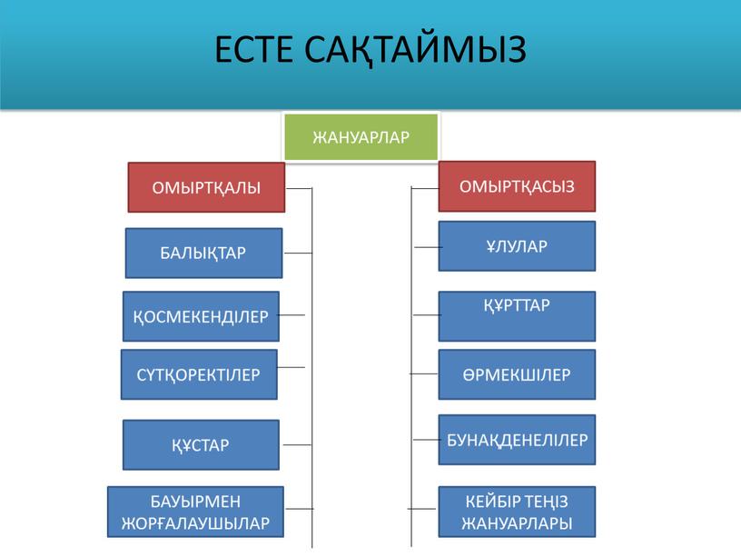 ЕСТЕ САҚТАЙМЫЗ ЖАНУАРЛАР ОМЫРТҚАСЫЗ