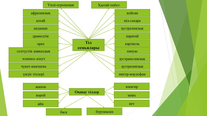 Тіл семьялары Үнді-еуропалық қойсан Қытай-тибет ніл-сахара афразиялық аустралиялық паратай нигер-кордофан аустразиялық аустранезиялық папуас картвель алтай андаман орал дравидтік