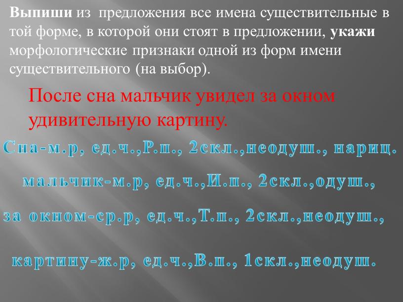 Выпиши из предложения все имена существительные в той форме, в которой они стоят в предложении, укажи морфологические признаки одной из форм имени существительного (на выбор)