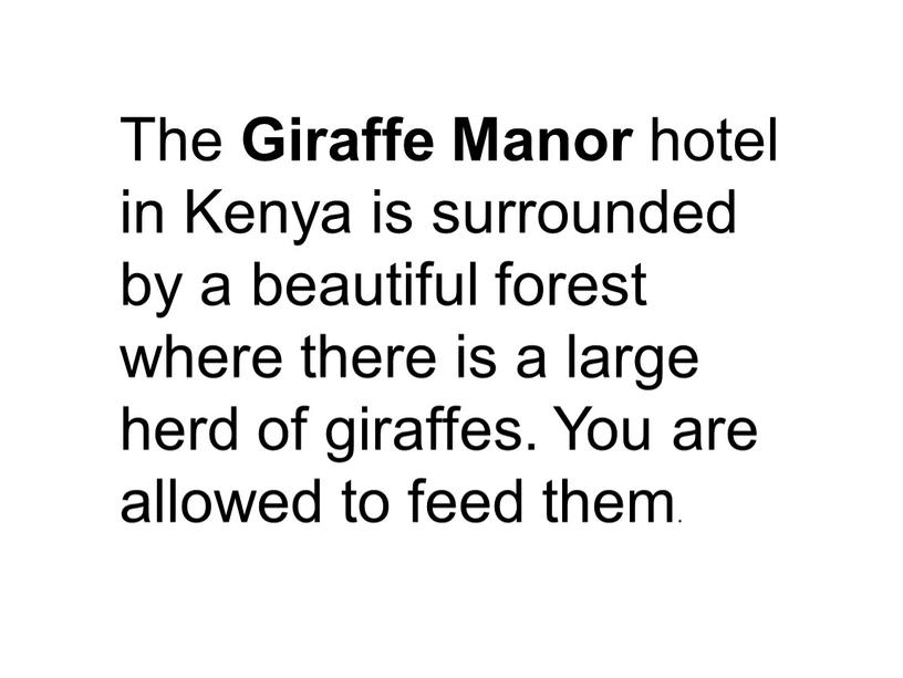 The Giraffe Manor hotel in Kenya is surrounded by a beautiful forest where there is a large herd of giraffes