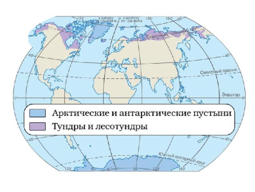 Презентация к уроку географии в 7 классе  "Природные зоны "