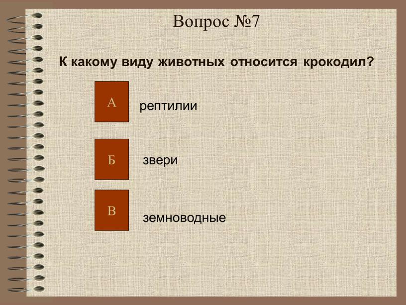 Вопрос №7 К какому виду животных относится крокодил? рептилии звери земноводные