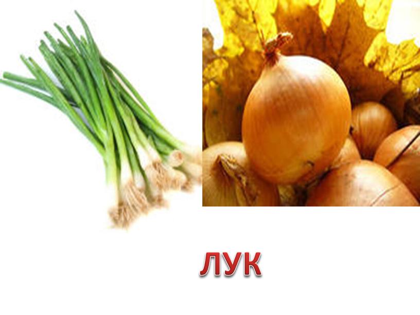 ЛУК