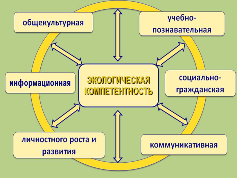 Практико-деятельностный компонент экологического воспитания обучающихся