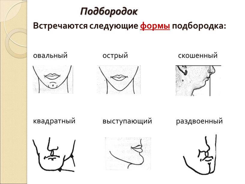 Встречаются следующие формы подбородка: