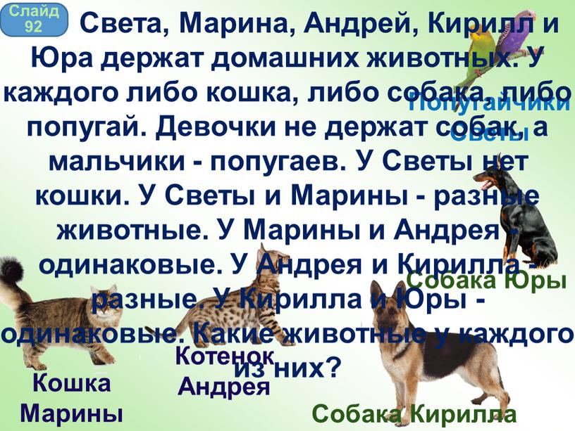 Попугайчики Светы Кошка Марины