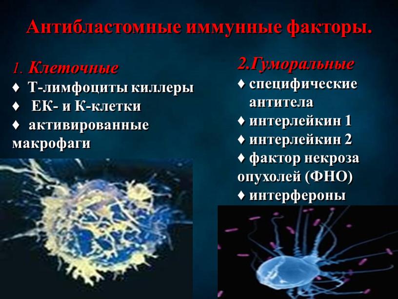 Антибластомные иммунные факторы