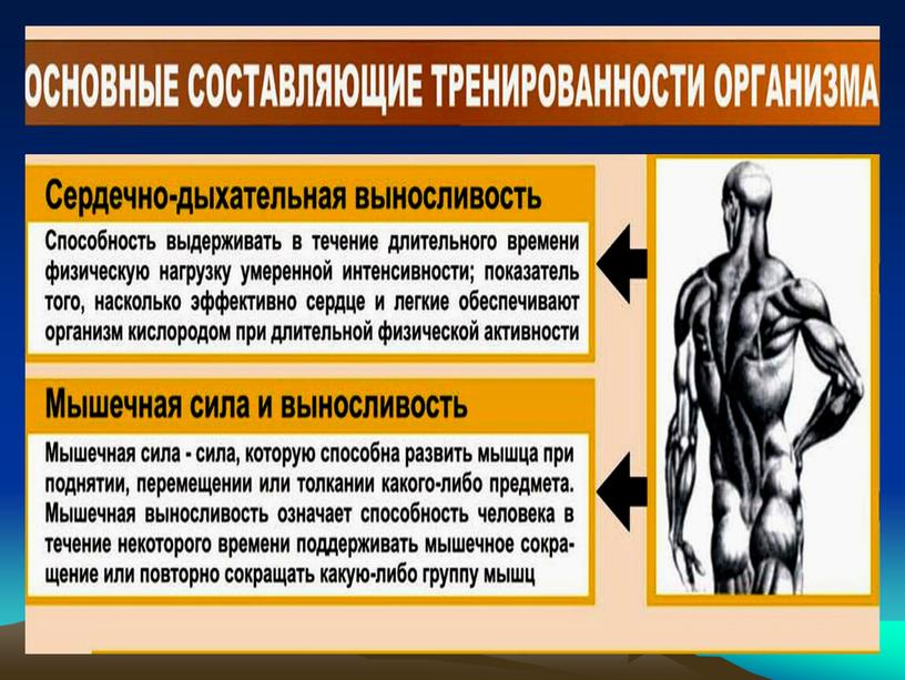 Урок 21 Значение двигательной активности