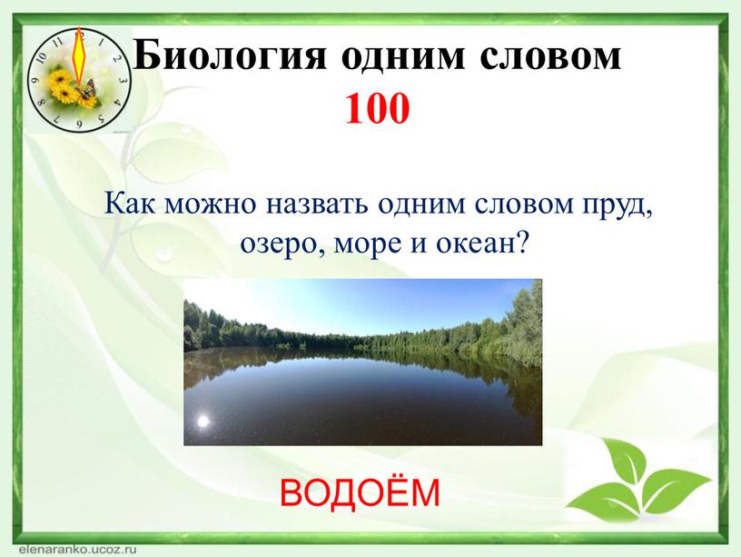 Биология одним словом 100 Как можно назвать одним словом пруд, озеро, море и океан?