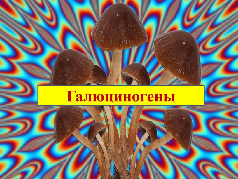 Галюциногены