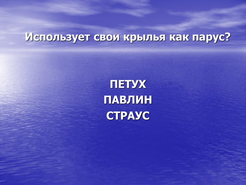 Использует свои крылья как парус?