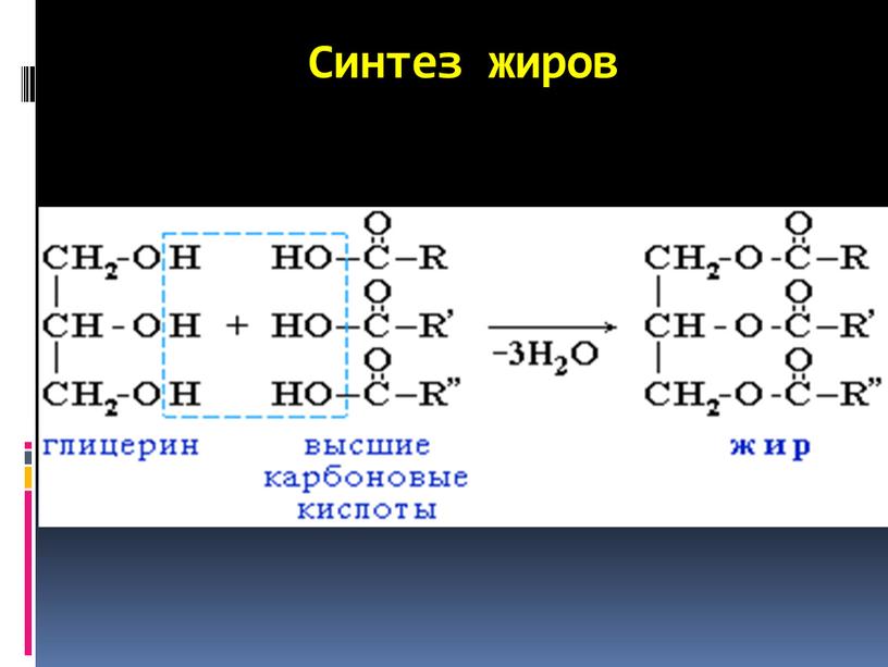 Синтез жиров