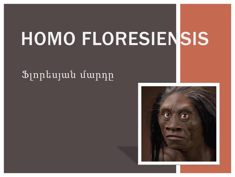 Ֆլորեսյան մարդը Homo floresiensis
