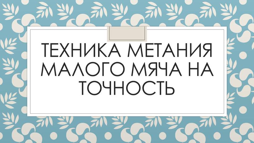 Техника метания малого мяча на точность