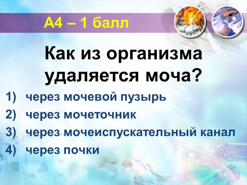 А4 – 1 балл Как из организма удаляется моча? через мочевой пузырь через мочеточник через мочеиспускательный канал через почки