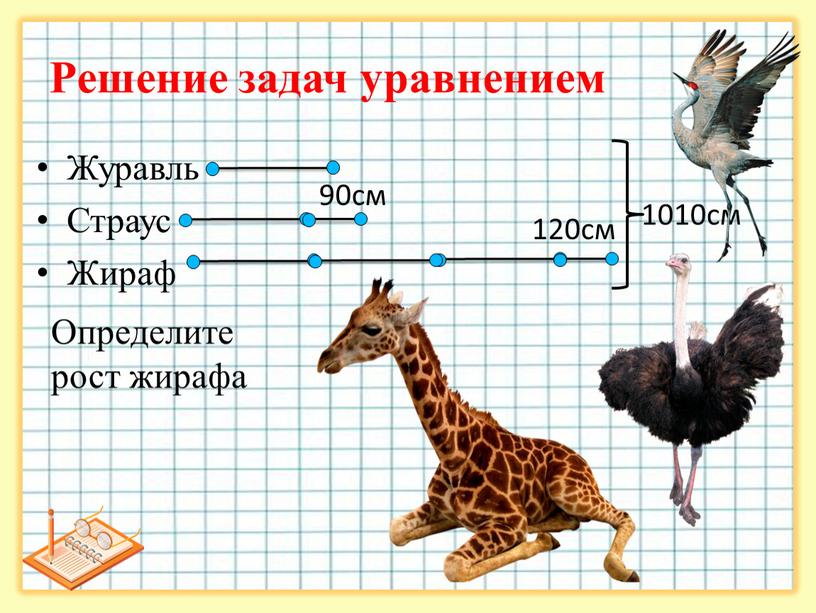 Журавль Страус Жираф Решение задач уравнением 90см 120см 1010см