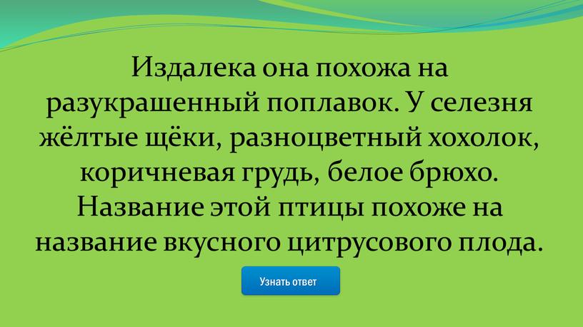 Узнать ответ Издалека она похожа на разукрашенный поплавок