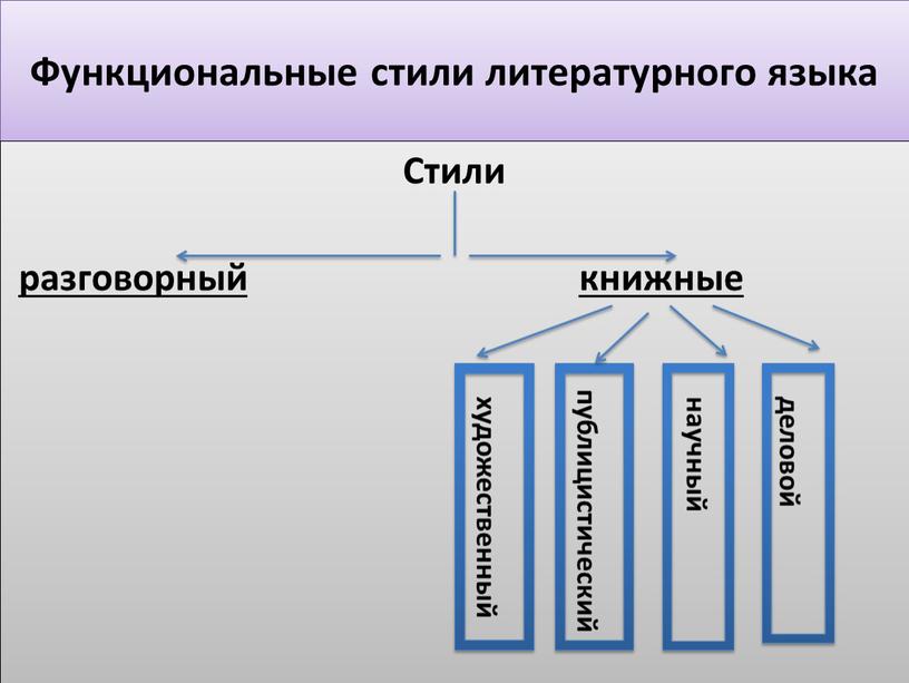 Функциональные стили литературного языка