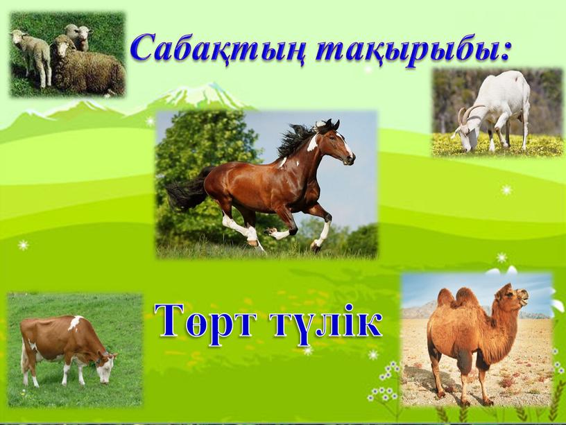 Төрт түлік Сабақтың тақырыбы: