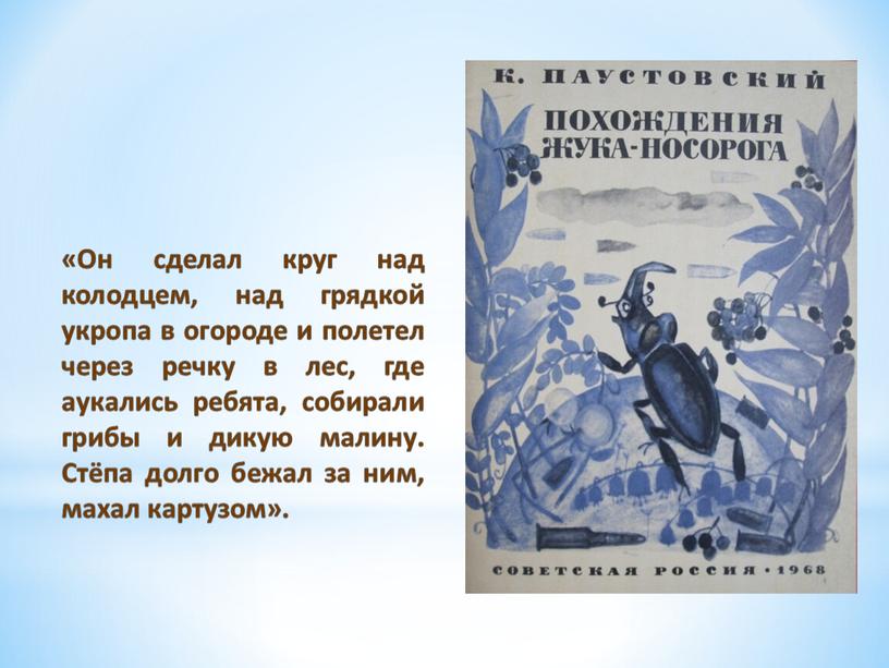 Он сделал круг над колодцем, над грядкой укропа в огороде и полетел через речку в лес, где аукались ребята, собирали грибы и дикую малину