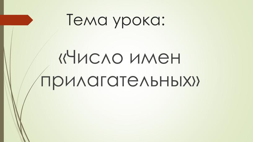 Тема урока: «Число имен прилагательных»