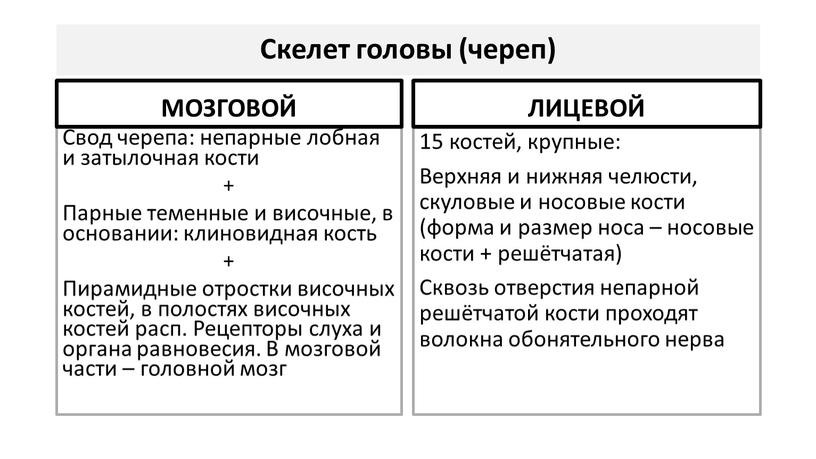 Скелет головы (череп) Свод черепа: непарные лобная и затылочная кости +