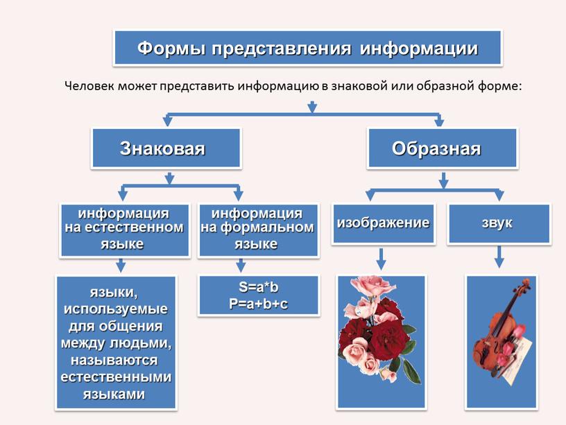 Формы представления информации