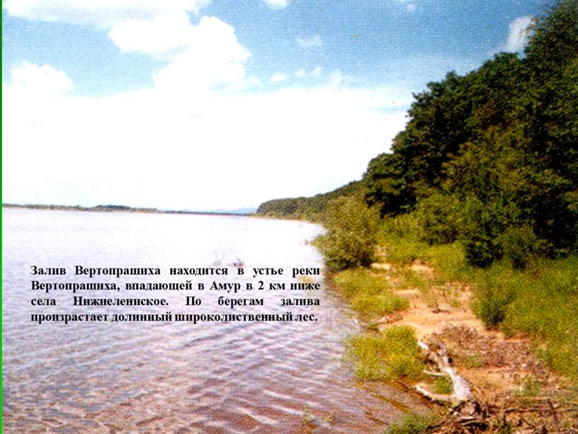 Залив Вертопрашиха находится в устье реки