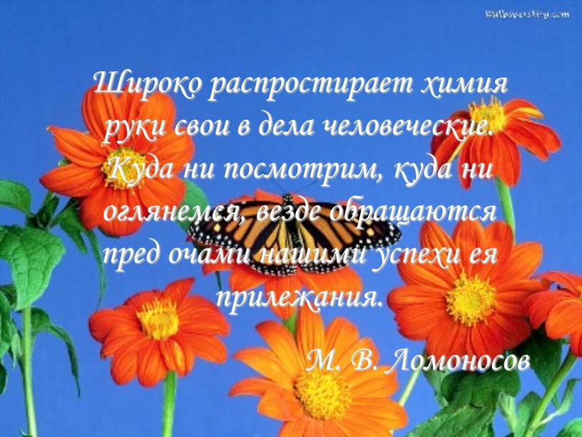 Широко распростирает химия руки свои в дела человеческие