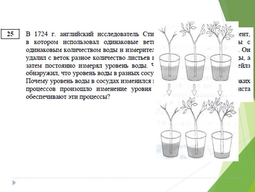 Разбор демо-версии ЕГЭ по биологии