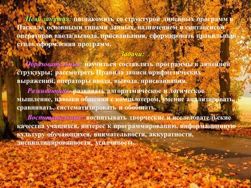 Цели занятия: познакомить со структурой линейных программ в